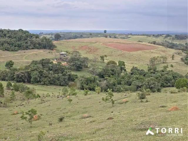 Sítio / Chácara para Venda em Botucatu/SP Centro