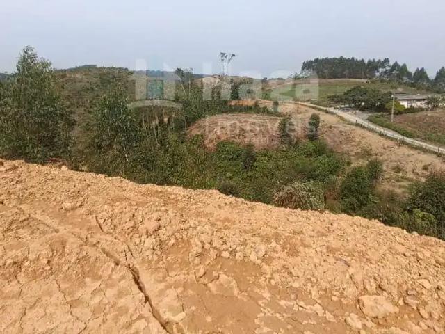 Sítio / Chácara para Venda em Botuverá/SC Zona Rural