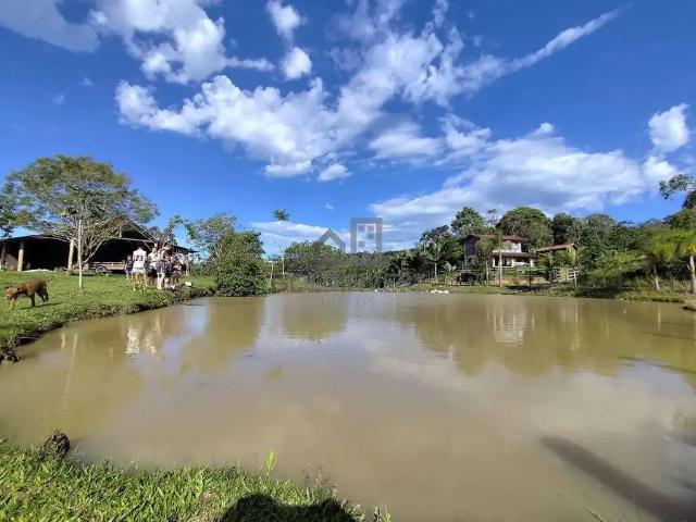 Sítio / Chácara para Venda em Botuverá/SC Zona Rural