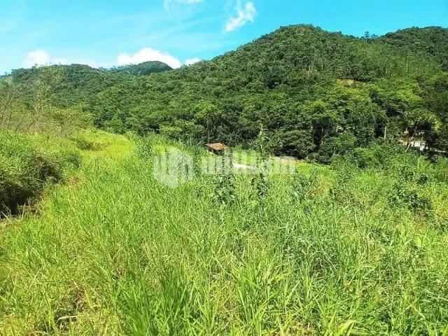Sítio / Chácara para Venda em Botuverá/SC Centro