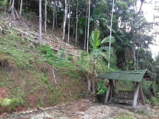 Sítio / Chácara para Venda em Botuverá/SC Ribeirão Porto Franco 3 Quartos