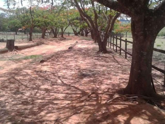 Sítio / Chácara para Venda em Boa Esperança do Sul/SP Zona Rural 9 Quartos