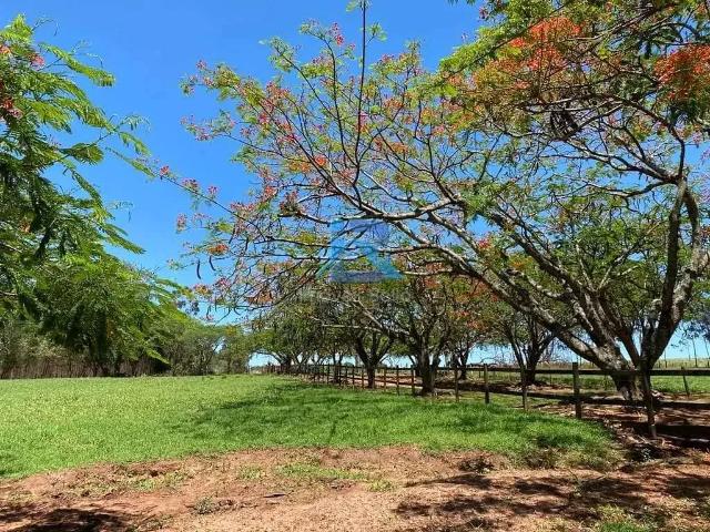 Sítio / Chácara para Venda em Boa Esperança do Sul/SP Centro 9 Quartos
