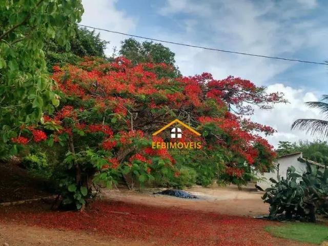 Sítio / Chácara para Venda em Boa Esperança/MG Zona Rural 3 Quartos