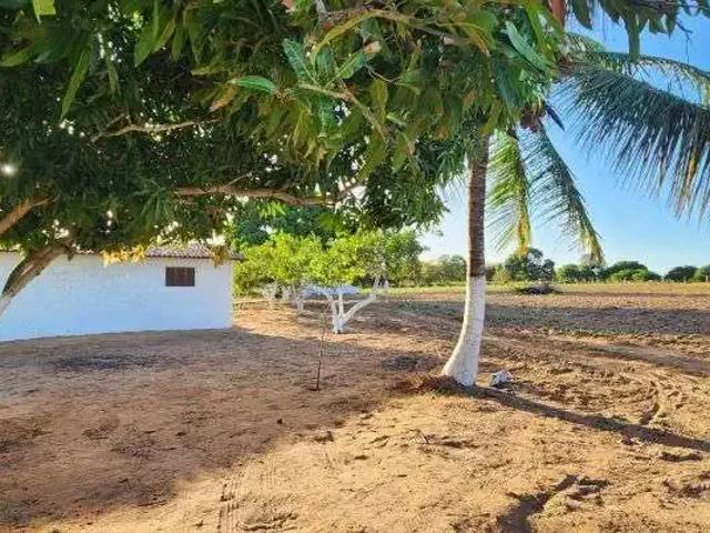 Sítio / Chácara para Venda em Boa Saúde/RN Centro 3 Quartos