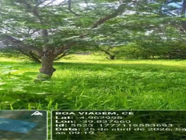 Sítio / Chácara para Venda em Boa Viagem/CE Zona Rural