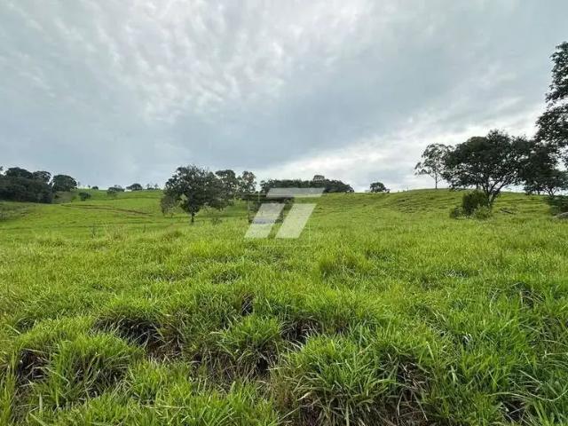 Sítio / Chácara para Venda em Boa Vista da Aparecida/PR Centro
