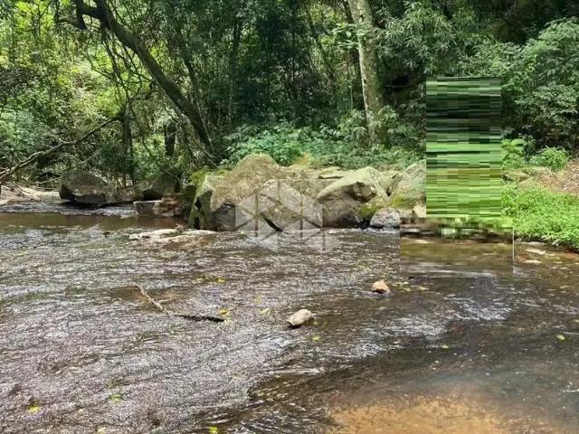 Sítio / Chácara para Venda em Boa Vista do Sul/RS São Luiz de Castro