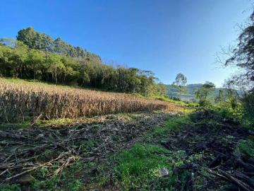 Sítio / Chácara para Venda em Boa Vista do Sul/RS São Luiz de Castro 2 Quartos