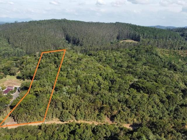 Sítio / Chácara para Venda em Bocaiúva do Sul/PR Cabeça D'Anta