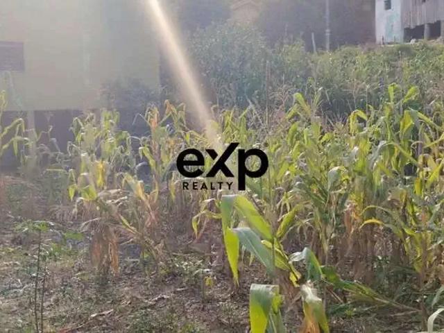 Sítio / Chácara para Venda em Bocaiúva do Sul/PR Cachoeirinha 1 Quartos
