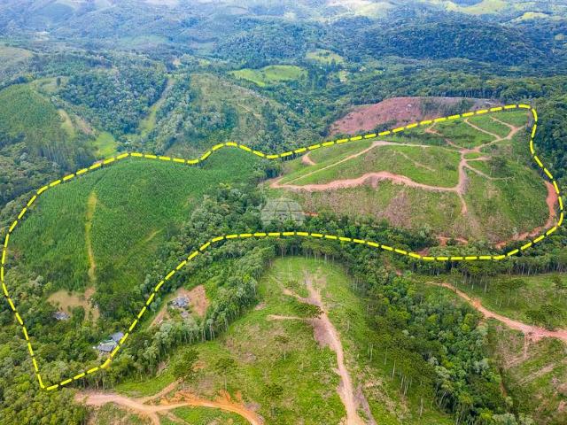 Sítio / Chácara para Venda em Bocaiúva do Sul/PR Cachoeirinha