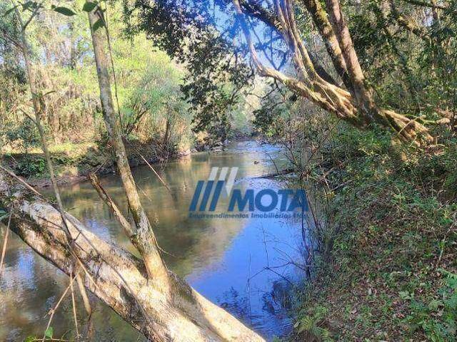 Sítio / Chácara para Venda em Bocaiúva do Sul/PR Cerne de Baixo 1 Quartos