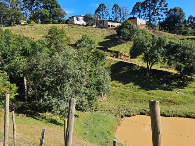 Sítio / Chácara para Venda em Bocaiúva do Sul/PR Alto Capivari 4 Quartos