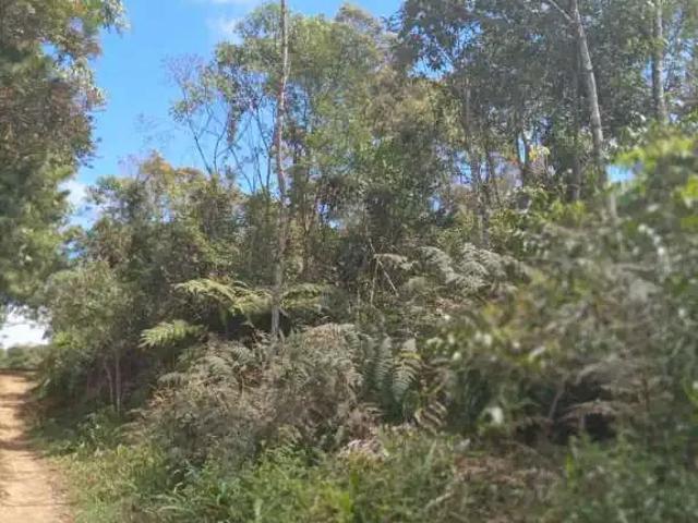 Sítio / Chácara para Venda em Bocaiúva do Sul/PR Estiva