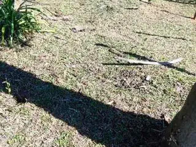 Sítio / Chácara para Venda em Bocaiúva do Sul/PR Rio Abaixo