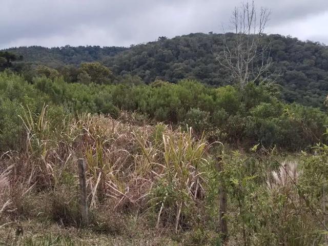 Sítio / Chácara para Venda em Bocaiúva do Sul/PR Zona Rural
