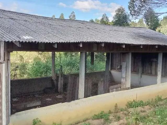 Sítio / Chácara para Venda em Bocaiúva do Sul/PR Zona Rural