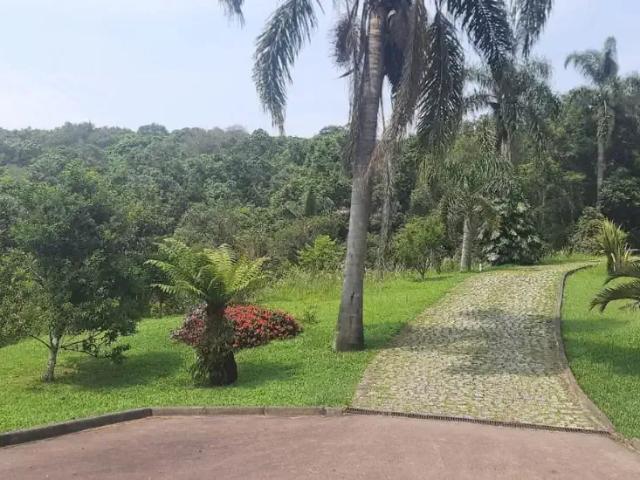 Sítio / Chácara para Venda em Bocaiúva do Sul/PR Bocaíuva 5 Quartos