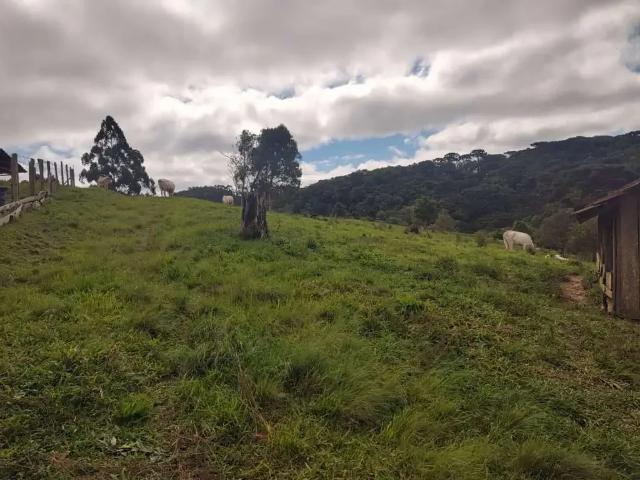 Sítio / Chácara para Venda em Bocaiúva do Sul/PR Zona Rural