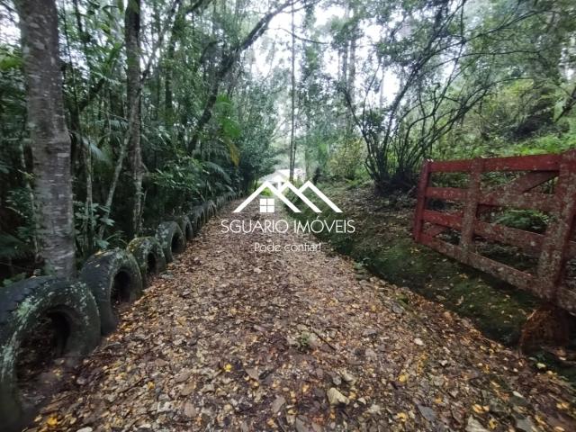 Sítio / Chácara para Venda em Bocaiúva do Sul/PR Zona Rural