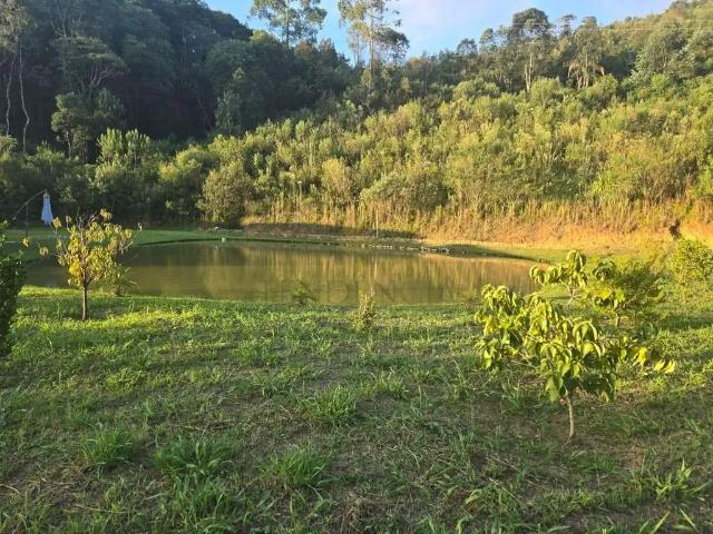 Sítio / Chácara para Venda em Bocaiúva do Sul/PR Zona Rural