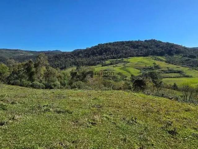 Sítio / Chácara para Venda em Bocaína do Sul/SC Zona Rural