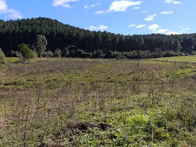 Sítio / Chácara para Venda em Bocaína do Sul/SC Zona Rural