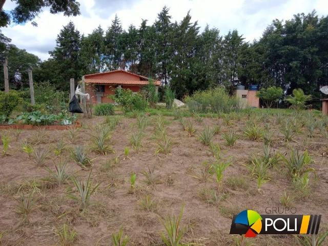 Sítio / Chácara para Venda em Bofete/SP Campo Alegre IV 3 Quartos