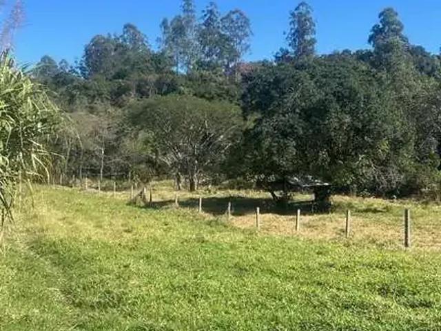 Sítio / Chácara para Venda em Bofete/SP Fazenda São Marcos