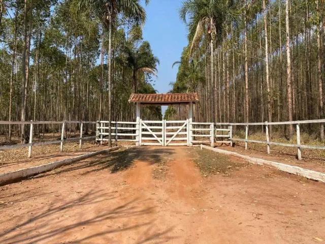 Sítio / Chácara para Venda em Bofete/SP Zona Rural 4 Quartos