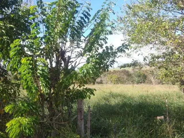 Sítio / Chácara para Venda em Bofete/SP Zona Rural 1 Quartos