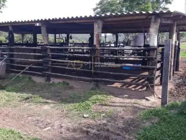Sítio / Chácara para Venda em Bofete/SP Zona Rural 3 Quartos