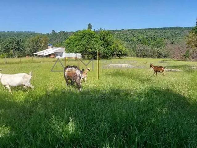 Sítio / Chácara para Venda em Bofete/SP Zona Rural 3 Quartos
