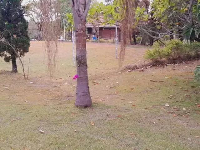 Sítio / Chácara para Venda em Boituva/SP Zona Rural 3 Quartos