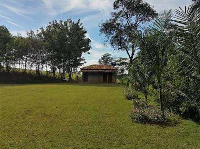 Sítio / Chácara para Venda em Bom Despacho/MG Área Rural de Bom Despacho