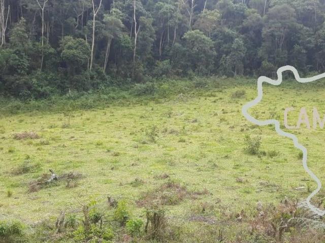 Sítio / Chácara para Venda em Bom Jardim de Minas/MG Centro