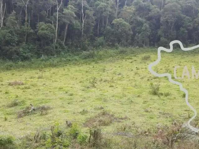 Sítio / Chácara para Venda em Bom Jardim de Minas/MG Zona Rural