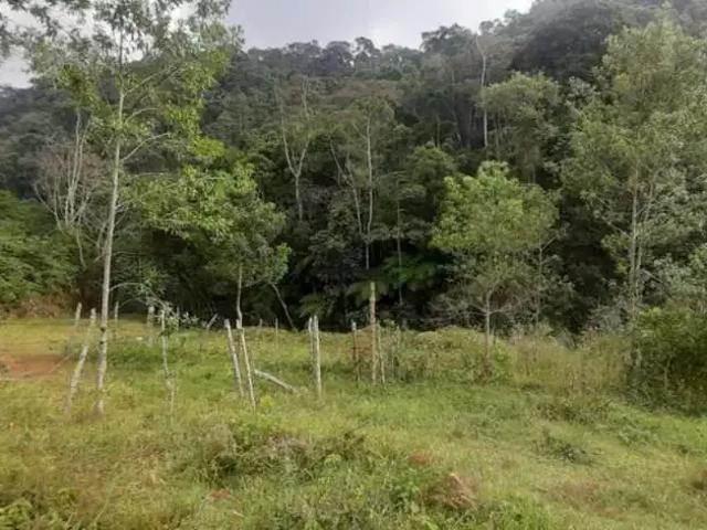 Sítio / Chácara para Venda em Bom Jardim de Minas/MG Centro