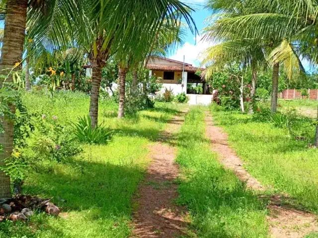 Sítio / Chácara para Venda em Bom Jesus/RN Zona Rural 3 Quartos