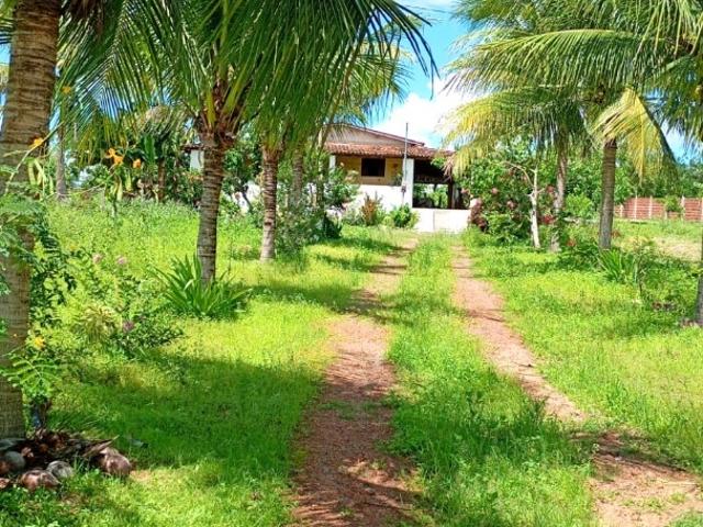 Sítio / Chácara para Venda em Bom Jesus/RN Zona Rural 3 Quartos