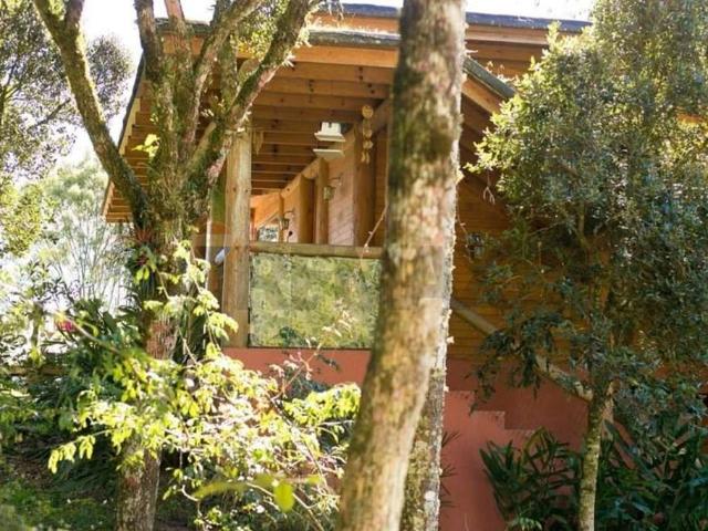 Sítio / Chácara para Venda em Bom Retiro/SC Centro 3 Quartos