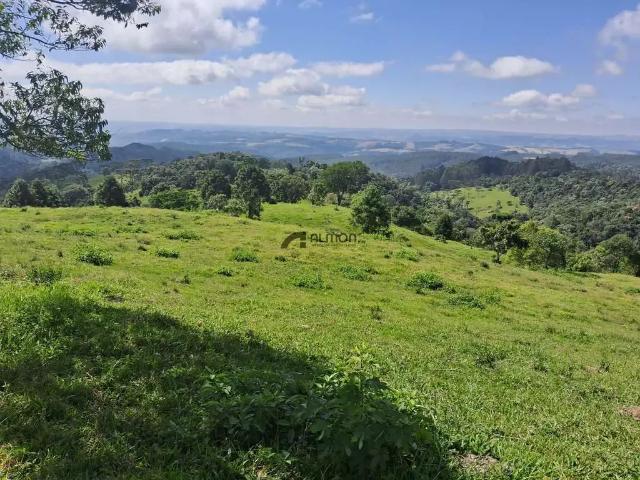 Sítio / Chácara para Venda em Bom Retiro/SC Zona Rural