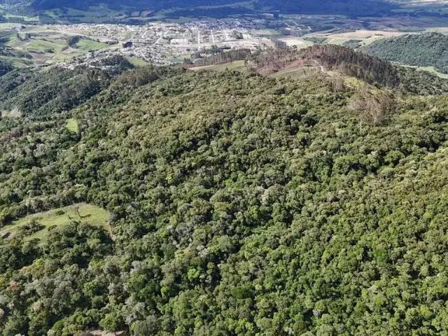 Sítio / Chácara para Venda em Bom Retiro/SC Zona Rural