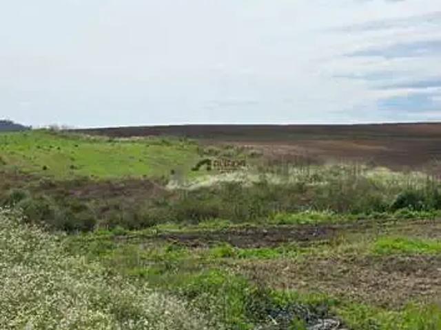 Sítio / Chácara para Venda em Bom Retiro/SC Zona Rural