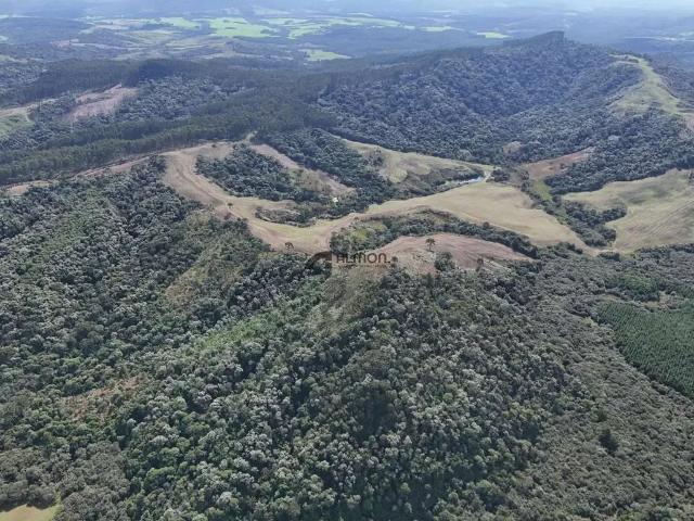 Sítio / Chácara para Venda em Bom Retiro/SC Zona Rural