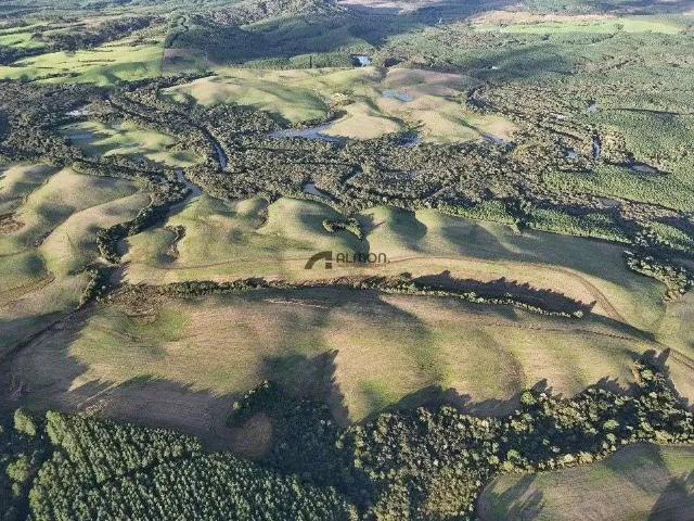 Sítio / Chácara para Venda em Bom Retiro/SC Zona Rural