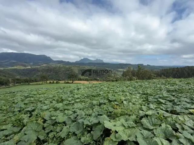 Sítio / Chácara para Venda em Bom Retiro/SC Zona Rural