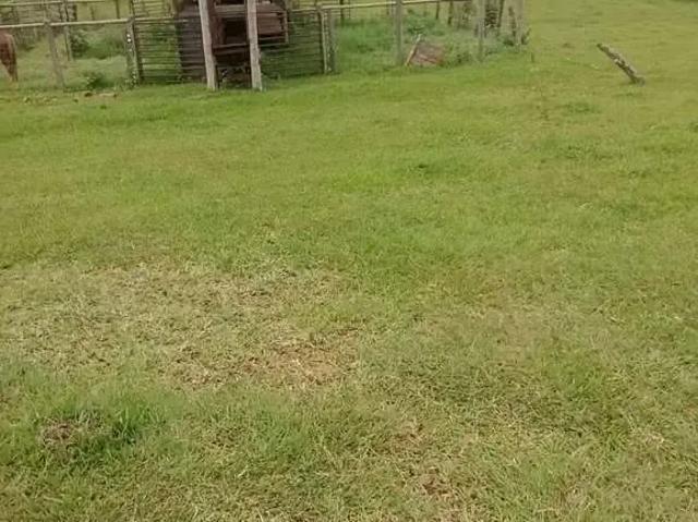 Sítio / Chácara para Venda em Bom Sucesso/PR Centro 1 Quartos