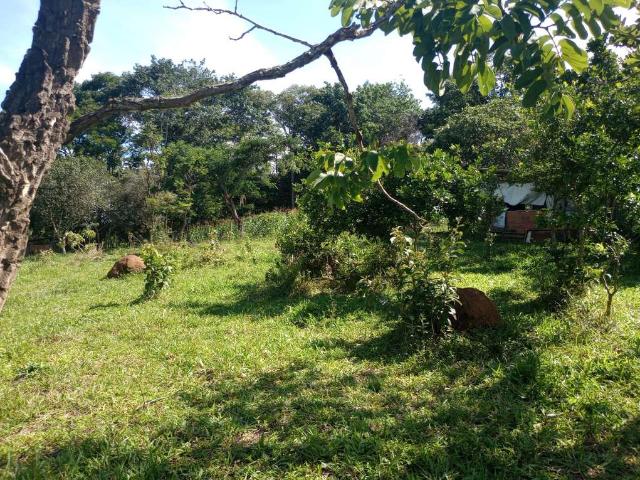 Sítio / Chácara para Venda em Bonfinópolis/GO Área Rural de Bonfinópolis 2 Quartos